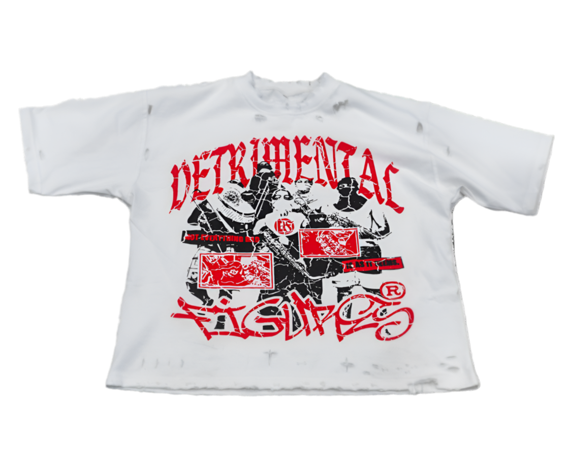 Detrimental Figures “incognito” T - Shirt