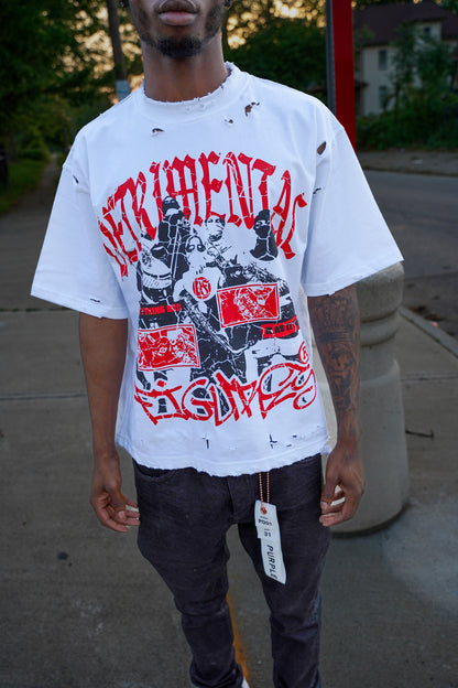 Detrimental Figures “incognito” T - Shirt